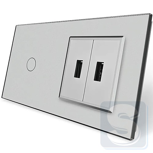 Сенсорний вимикач 1-кл + 2usb Livolo сіре скло 