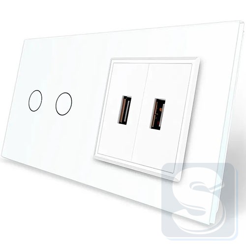 Сенсорний вимикач 2-кл + 2usb Livolo біле скло 