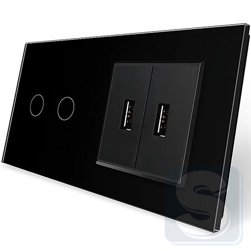 Сенсорний вимикач 2-кл + 2usb Livolo чорне скло 