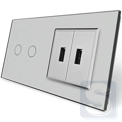 Сенсорний вимикач 2-кл + 2usb Livolo сіре скло 