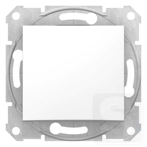 SDN5600121.jpg
