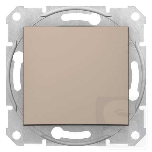 Заглушка Schneider Sedna SDN5600168 титан-2