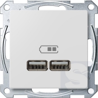 Розетка USB двойная Merten System M активно-белый 